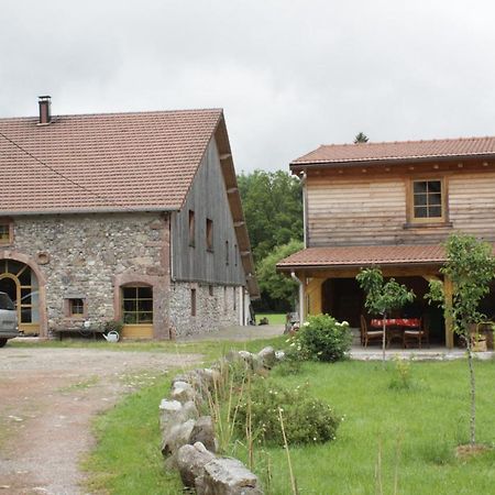 Gites Typiques Au Coeur Des Hautes Vosges Saulxures-sur-Moselotte Kültér fotó