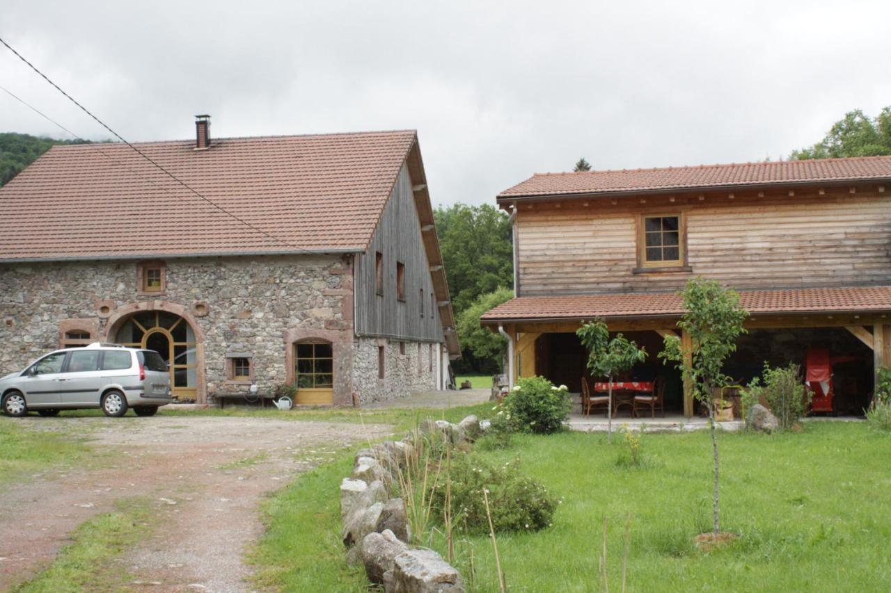 Gites Typiques Au Coeur Des Hautes Vosges Saulxures-sur-Moselotte Kültér fotó