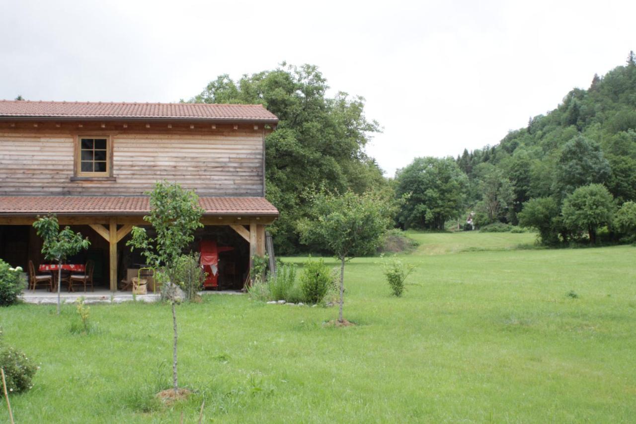 Gites Typiques Au Coeur Des Hautes Vosges Saulxures-sur-Moselotte Kültér fotó